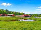 2727 Lower Moncure Road - Photo 68