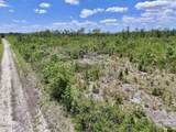 0 Guinea Mill Road - Photo 32