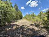 0 Guinea Mill Road - Photo 39