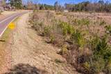 0 Chamberlain S Ferry Road - Photo 10
