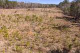 0 Chamberlain S Ferry Road - Photo 24
