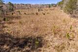 0 Chamberlain S Ferry Road - Photo 9