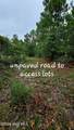 Lot 9 & 10 Cleora Murray Drive - Photo 3