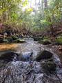1104 Mill Creek Road - Photo 10