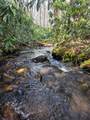 1104 Mill Creek Road - Photo 11