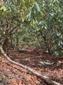 1104 Mill Creek Road - Photo 18