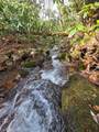 1104 Mill Creek Road - Photo 21