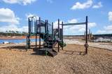 1025 Pampas Grass Drive - Photo 43
