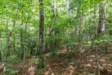 Lot 18 The Ridges Of Carolina - Photo 11
