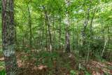 Lot 18 The Ridges Of Carolina - Photo 13