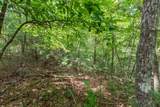 Lot 18 The Ridges Of Carolina - Photo 14