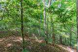 Lot 18 The Ridges Of Carolina - Photo 15
