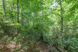 Lot 18 The Ridges Of Carolina - Photo 18