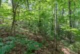 Lot 18 The Ridges Of Carolina - Photo 20