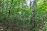 Lot 18 The Ridges Of Carolina - Photo 21