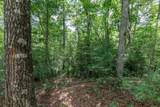 Lot 18 The Ridges Of Carolina - Photo 22