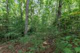 Lot 18 The Ridges Of Carolina - Photo 23