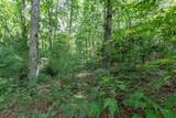 Lot 18 The Ridges Of Carolina - Photo 24