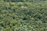 Lot 18 The Ridges Of Carolina - Photo 37