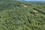 Lot 18 The Ridges Of Carolina - Photo 51