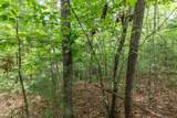 Lot 18 The Ridges Of Carolina - Photo 7