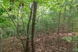 Lot 18 The Ridges Of Carolina - Photo 8