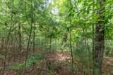 Lot 18 The Ridges Of Carolina - Photo 9