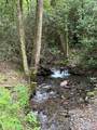 000 Chestnut Oaks - Photo 1