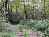 000 Chestnut Oaks - Photo 10