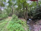 000 Chestnut Oaks - Photo 11