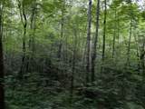 000 Chestnut Oaks - Photo 2