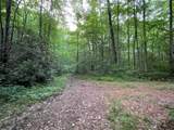 000 Chestnut Oaks - Photo 7