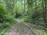000 Chestnut Oaks - Photo 8