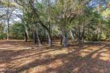 4002 Barnes Bluff Drive - Photo 11