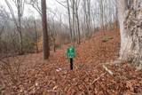 Lot 127 Serene Pond Trail - Photo 2