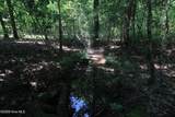 0 Crowatan Trail - Photo 18