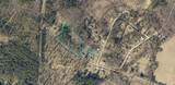 1956 Pineywoods Road - Photo 2