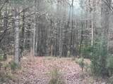 1956 Pineywoods Road - Photo 4