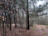 1956 Pineywoods Road - Photo 5