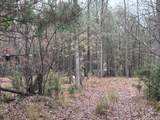 1956 Pineywoods Road - Photo 6