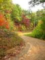 7.26 AC Panorama Drive - Photo 10