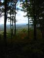 7.26 AC Panorama Drive - Photo 11