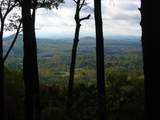 7.26 AC Panorama Drive - Photo 12