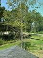 107 Creek Bluff Road - Photo 57