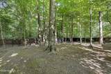917 Mandarin Trail - Photo 47