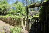 335 Swoope Drive - Photo 48