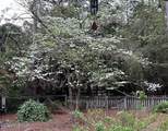 335 Swoope Drive - Photo 54