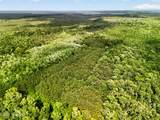 Tbd Pea Ridge Road - Photo 10