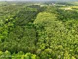Tbd Pea Ridge Road - Photo 13
