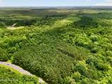 Tbd Pea Ridge Road - Photo 19